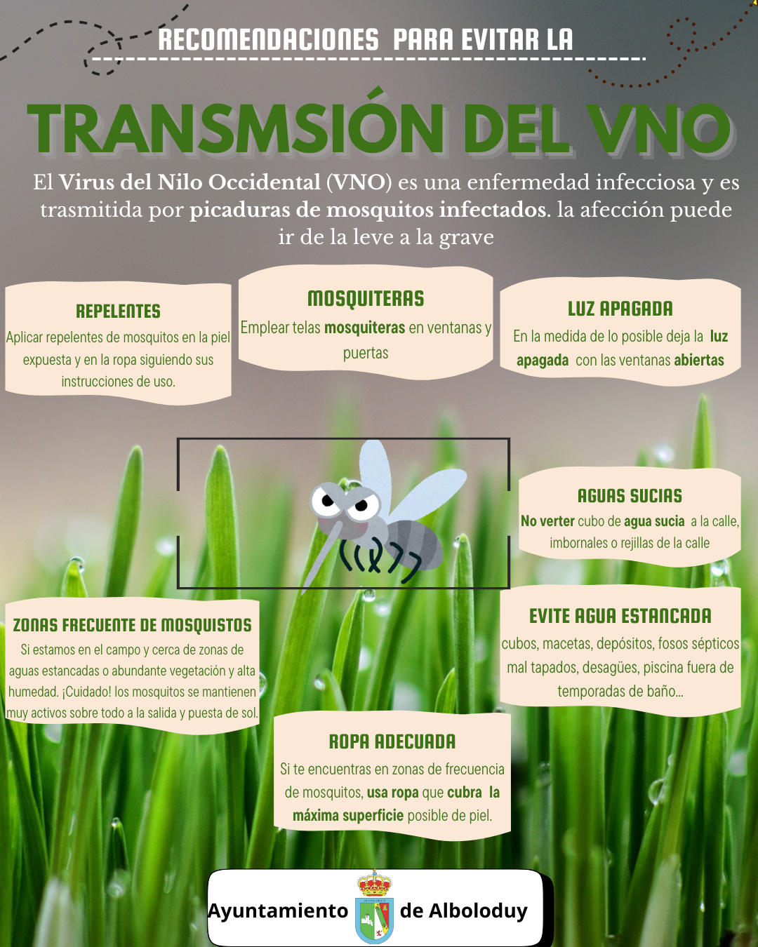 mosquitosñ